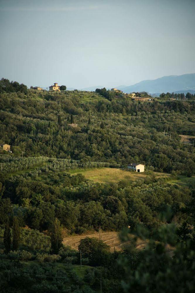Agriturismo Le Colombe Assisi Exterior photo